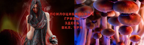 первитин Кинешма